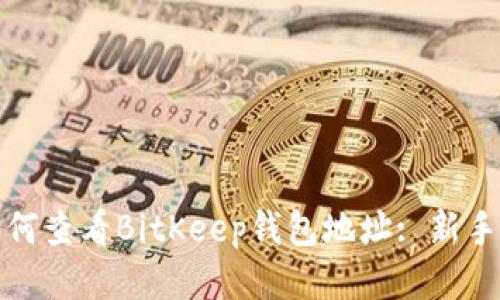 : 如何查看BitKeep钱包地址: 新手指南