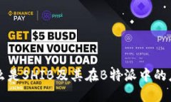 什么是SHIB及其在B特派中的