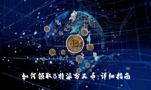 如何领取B特派分叉币：详细指南