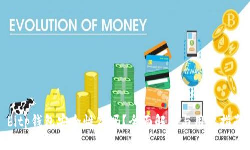 bitp钱包安全性高吗？全面解析与用户指南