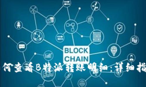 如何查看B特派转账明细：详细指南