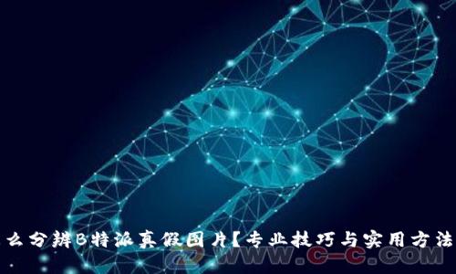 : 怎么分辨B特派真假图片？专业技巧与实用方法解析
