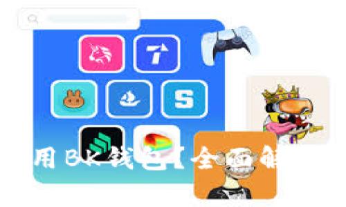 如何安全使用BK钱包？全面解析及操作指南