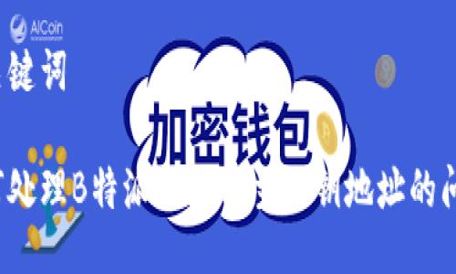 与关键词

如何处理B特派不显示主私钥地址的问题？