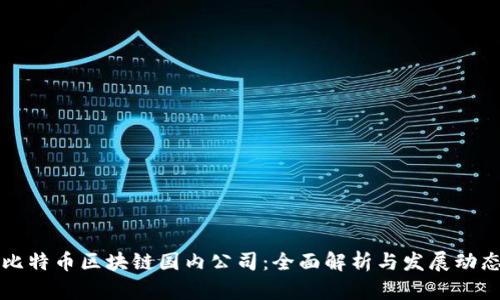 比特币区块链国内公司：全面解析与发展动态