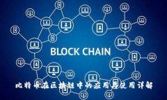 比特币在区块链中的应用