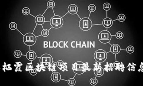 2023年栖霞区块链项目最新招聘信息大汇总