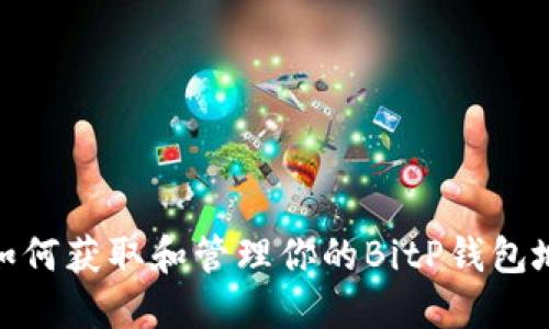 : 如何获取和管理你的BitP钱包地址