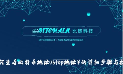 如何查看比特币地址（bitp地址）的详细步骤与技巧
