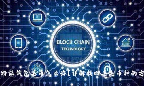 比特派钱包丢币怎么办？详解找回丢失币种的方法