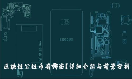 区块链公链币有哪些？详细介绍与前景分析