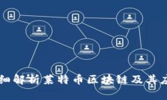 详细解析莱特币区块链及其应用