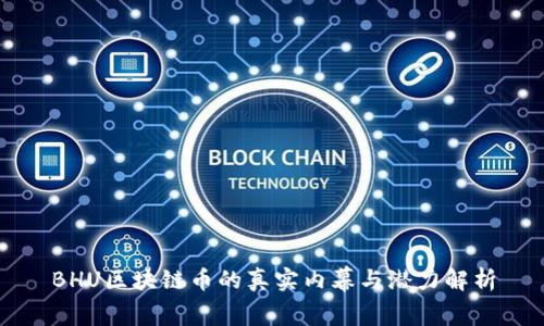 BHU区块链币的真实内幕与潜力解析