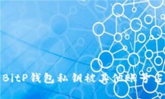 如何解决BitP钱包私钥被其