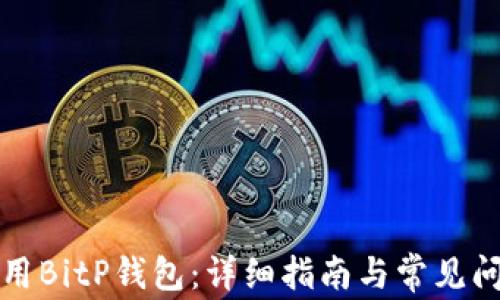 
如何使用BitP钱包：详细指南与常见问题解答