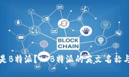 什么是B特派？- B特派的英文名称与介绍