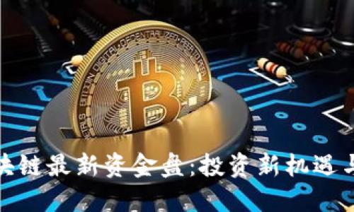 : 瑞波区块链最新资金盘：投资新机遇与风险评估