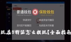 现在B特派怎么提现？全面