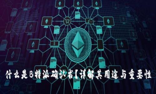 什么是B特派确认书？详解其用途与重要性