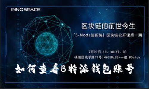 如何查看B特派钱包账号