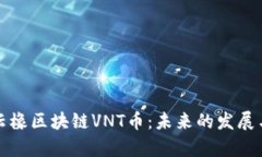 深入解析云橡区块链VNT币