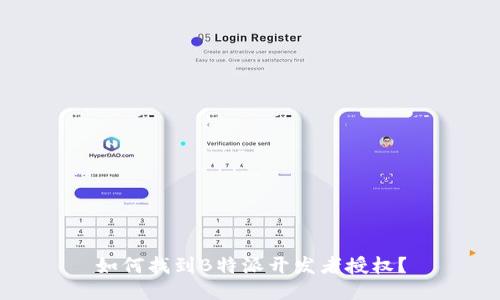 如何找到B特派开发者授权？