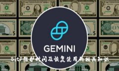 BitP维护时间及恢复使用的