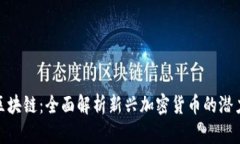 海豚币区块链：全面解析