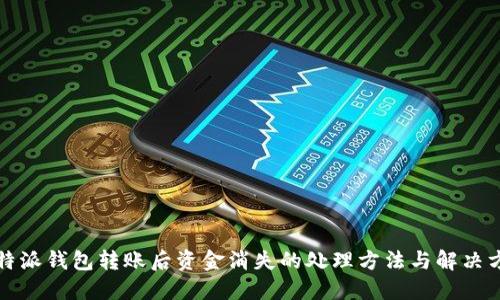 比特派钱包转账后资金消失的处理方法与解决方案