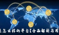   b特派是怎么样的平台？