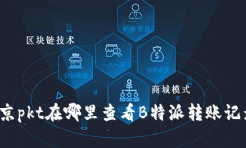 北京pkt在哪里查看B特派转账记录？
